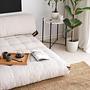 Fold Velvet 2 Sofa bed 2-seater White 5