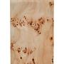 Mota Burl Wood Runder Beistelltisch 4