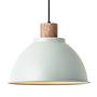Pendant Light Erena 1-Light Iron Green 0